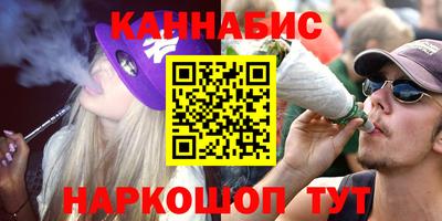 Альфа ПВП Пенза