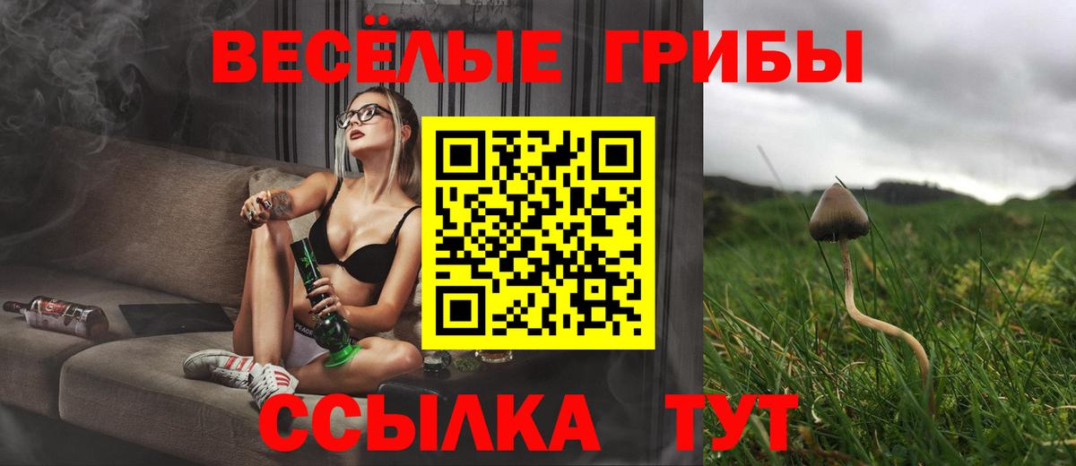 Псилоцибиновые грибы ЛСД Советский