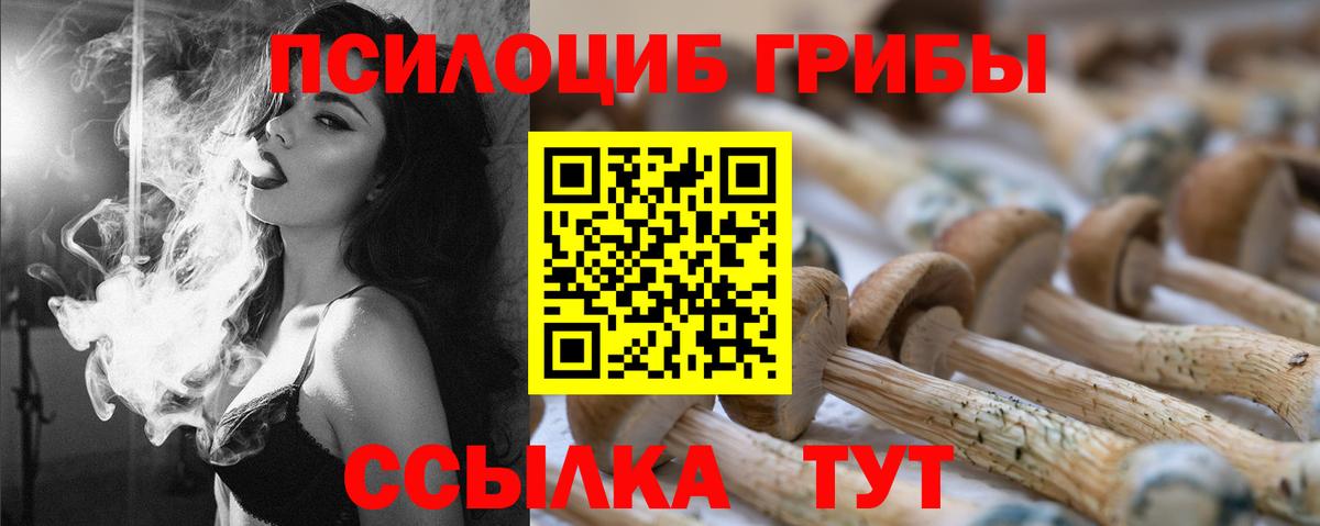 Галлюциногенные грибы Psilocybe  Вход с VPN  Советский 